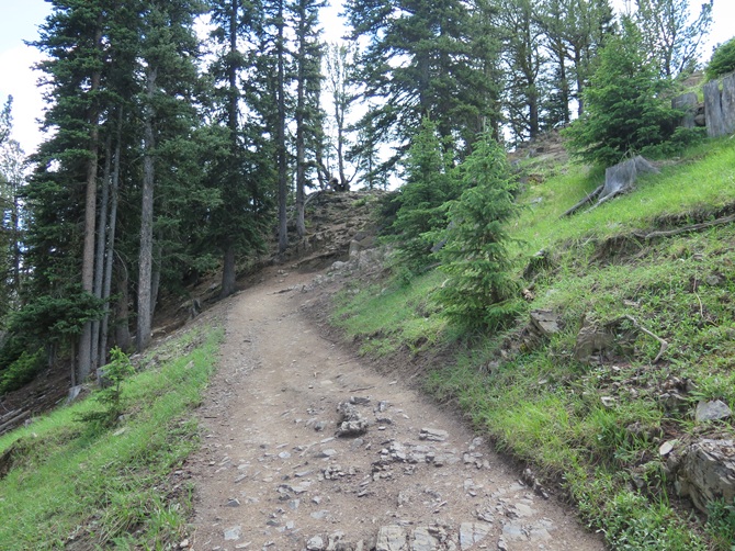 Sulphur Mountain Hike