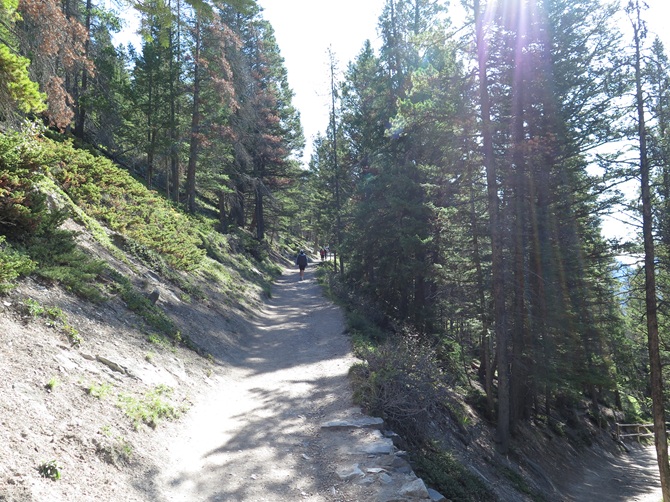 Tunnel Mountain Hike