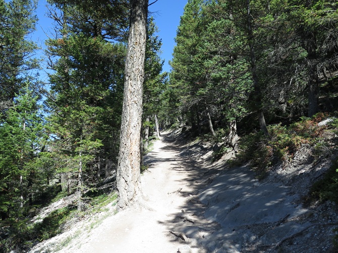 Tunnel Mountain Hike